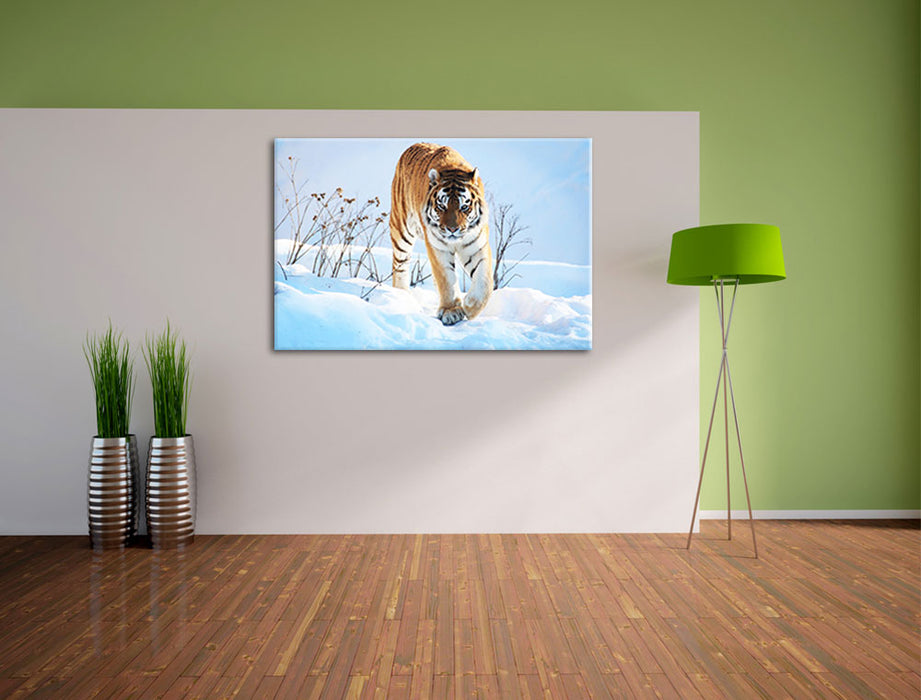 Stolzer Tiger im Schnee Leinwandbild im Flur