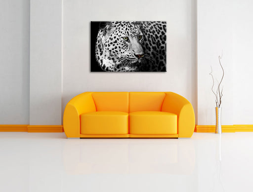 Stolzer Leopard Leinwandbild über Sofa