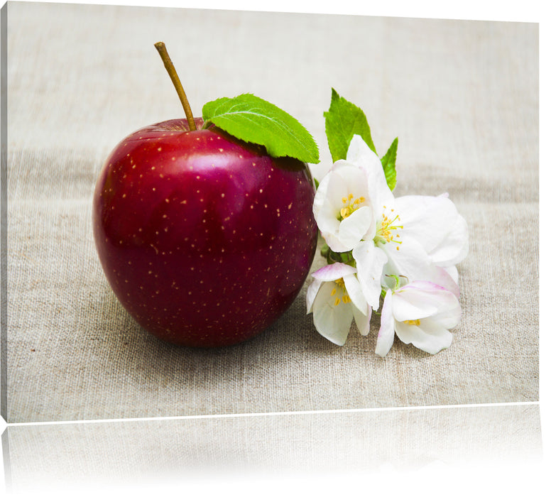 Pixxprint Knackiger roter Apfel, Leinwandbild