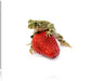 Kleiner Frosch sitzt auf Erdbeere Leinwandbild