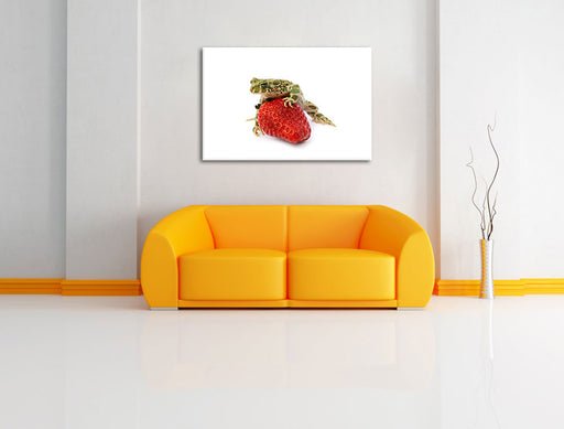Kleiner Frosch sitzt auf Erdbeere Leinwandbild über Sofa