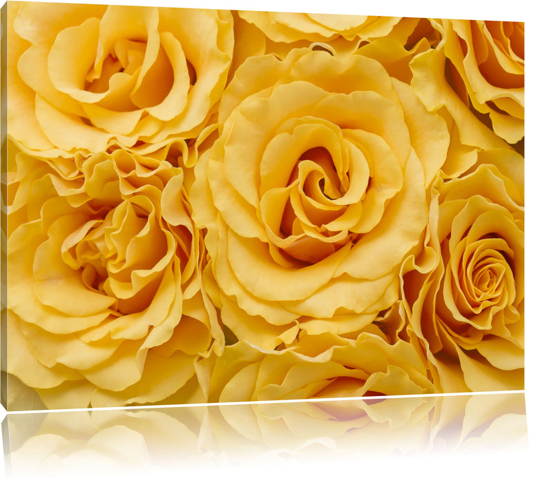 Pixxprint Wunderschöne gelbe Blüten, Leinwandbild