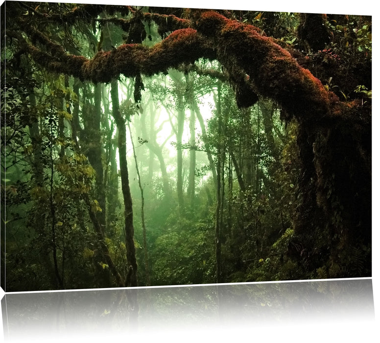 Pixxprint Geheimnisvoller Regenwald, Leinwandbild