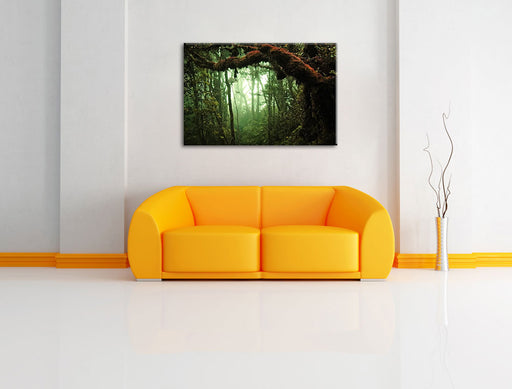 Geheimnisvoller Regenwald Leinwandbild über Sofa