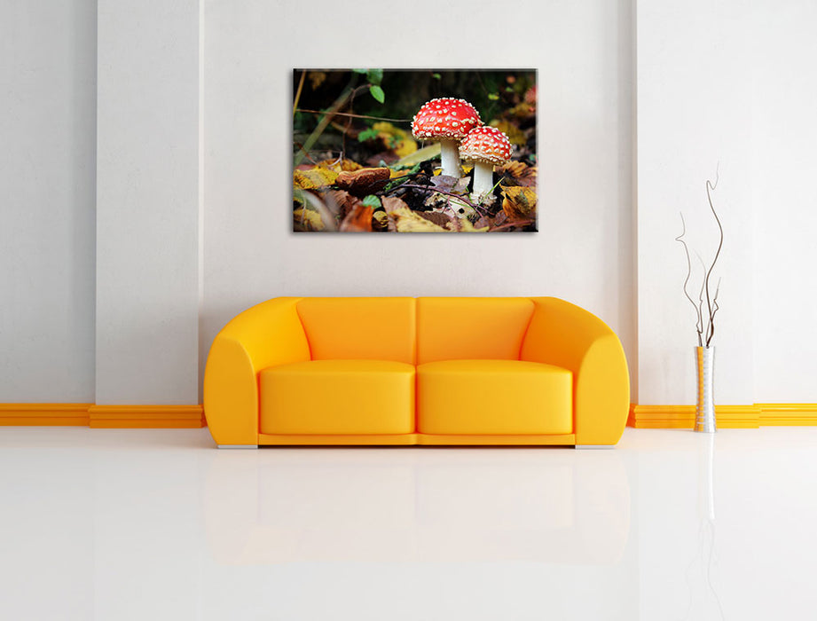 Pilz im Wald Leinwandbild über Sofa
