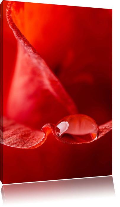 Pixxprint Tropfen auf Blüte Nahaufnahme, Leinwandbild