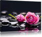 Rosa Rosenblüte Hintergrund Leinwandbild
