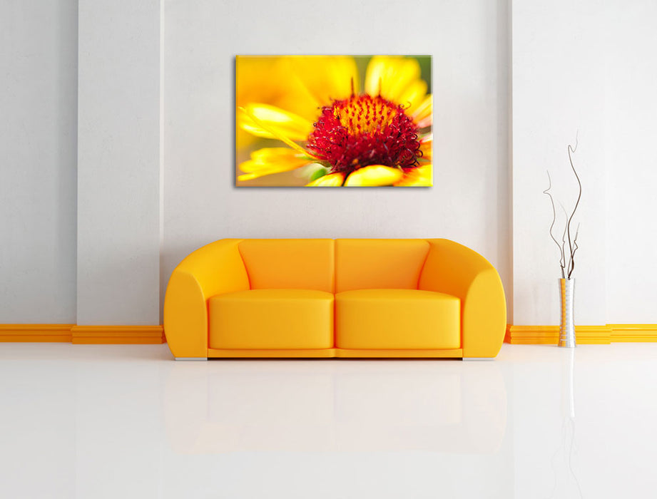 Blüte Nahaufnahme Leinwandbild über Sofa