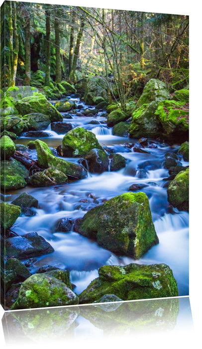 Pixxprint Wilder Bach, Leinwandbild
