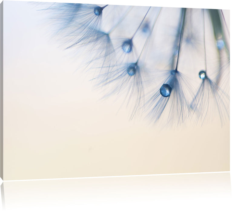 Pixxprint Pusteblume Nahaufnahme, Leinwandbild