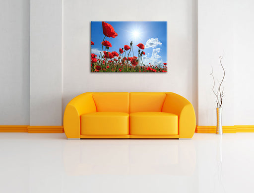 Mohnblumen Leinwandbild über Sofa