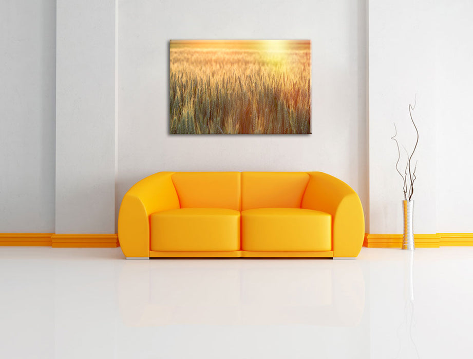 Getreidefeld Leinwandbild über Sofa