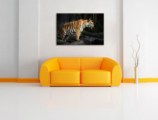 Tiger Leinwandbild über Sofa