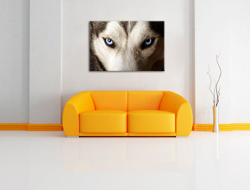 Husky eisblaue Augen Leinwandbild über Sofa