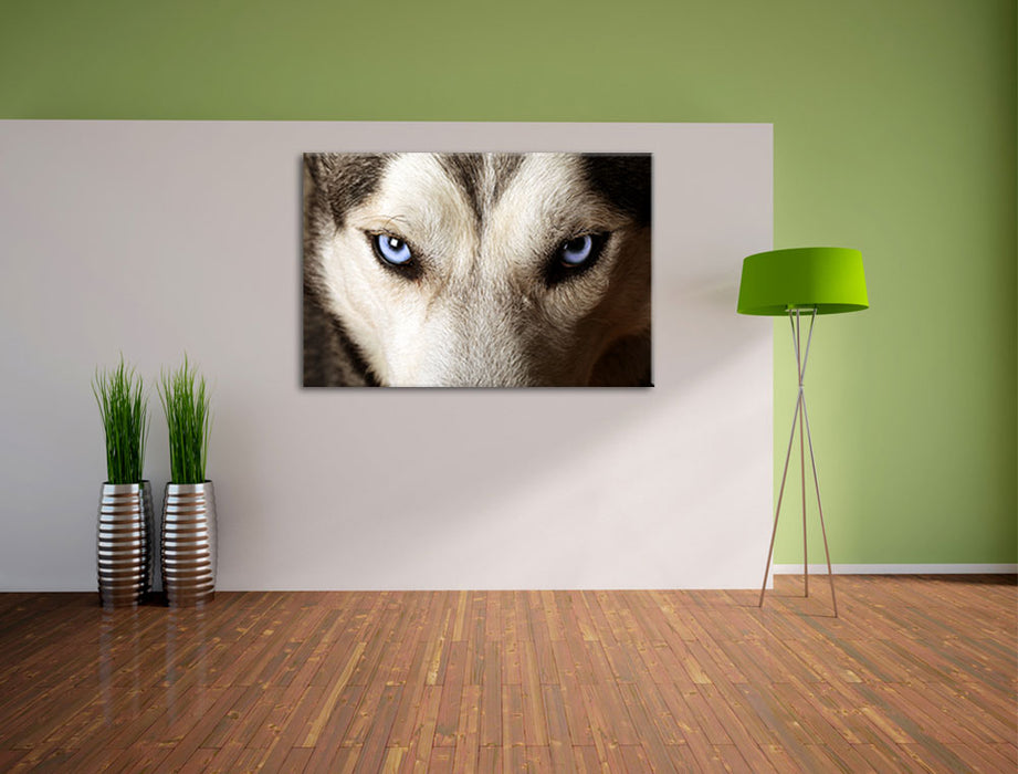 Husky eisblaue Augen Leinwandbild im Flur