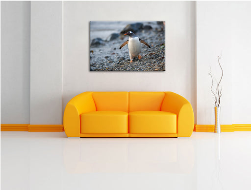Pinguine Leinwandbild über Sofa