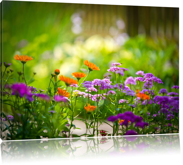 Pixxprint Blumenwiese, Leinwandbild