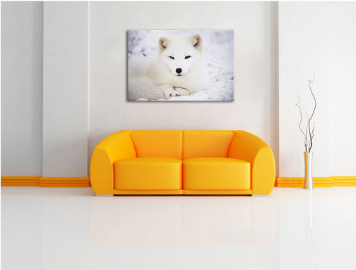 Weißer Fuchs Leinwandbild über Sofa