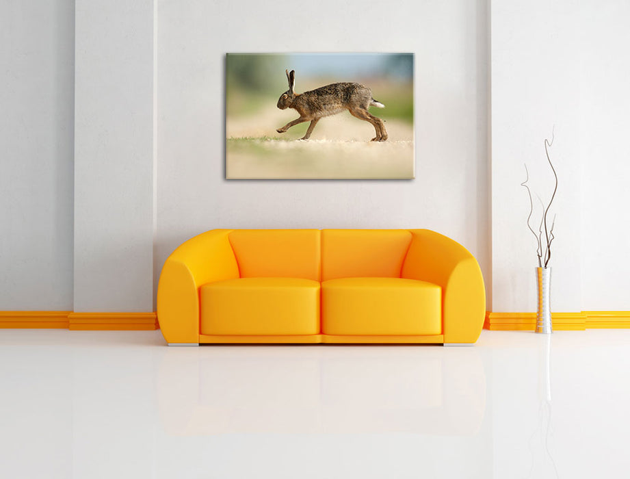 Hüpfender Hase Leinwandbild über Sofa