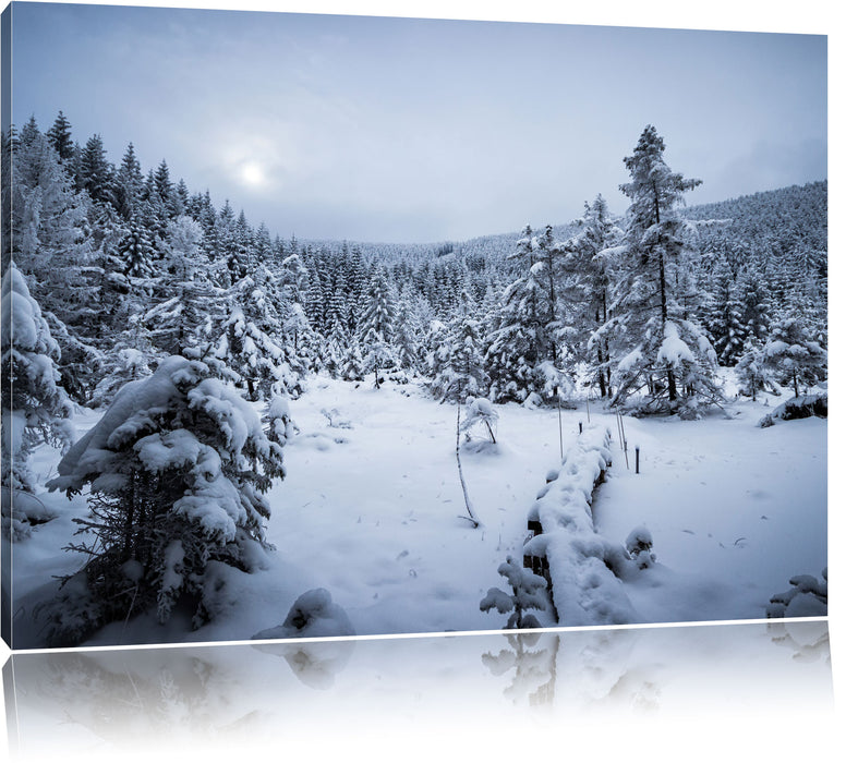Pixxprint Winterlandschaft vereister See, Leinwandbild