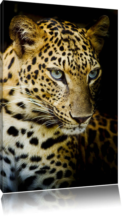 Pixxprint Leopard mit blauen Augen, Leinwandbild
