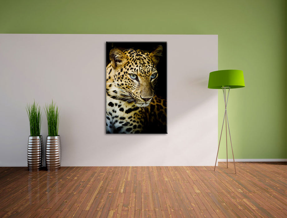 Leopard mit blauen Augen Leinwandbild im Flur