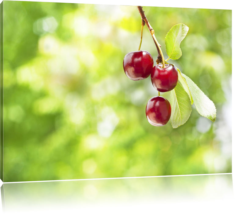 Pixxprint Kirsche, Leinwandbild
