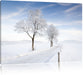 Baum im Schnee Leinwandbild