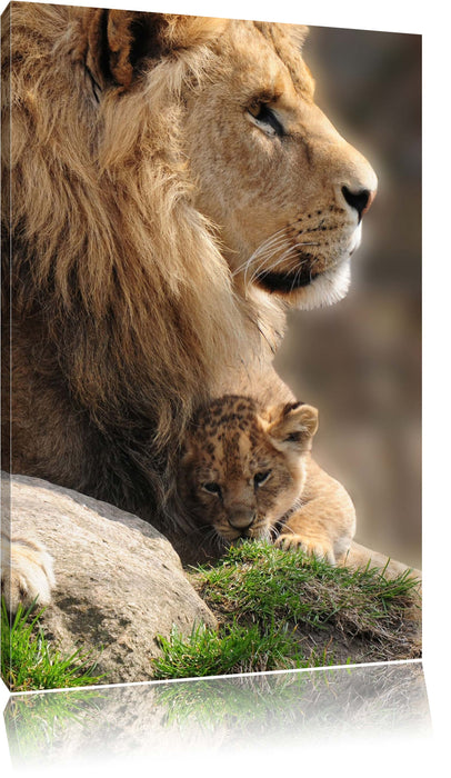 Pixxprint Löwe mit Löwenbaby, Leinwandbild
