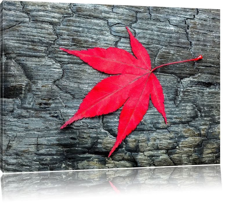 Pixxprint Blatt auf Holz Natur, Leinwandbild