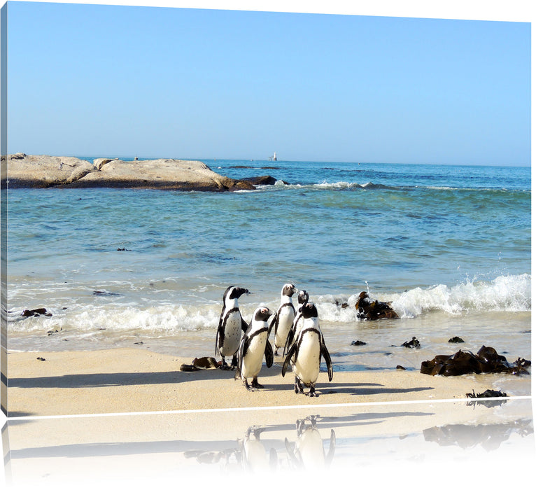 Pixxprint Pinguine am Strand, Leinwandbild