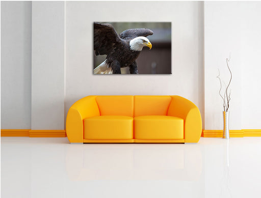 Adler Leinwandbild über Sofa