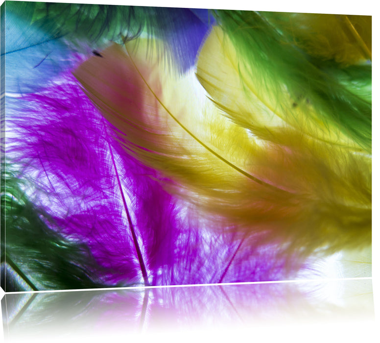 Pixxprint Bunte Federn, Leinwandbild