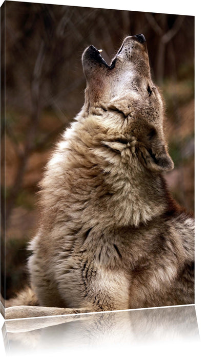 Pixxprint Heulende Wölfe, Leinwandbild