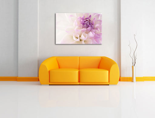Traumhafte lila weiße Blüte Leinwandbild über Sofa