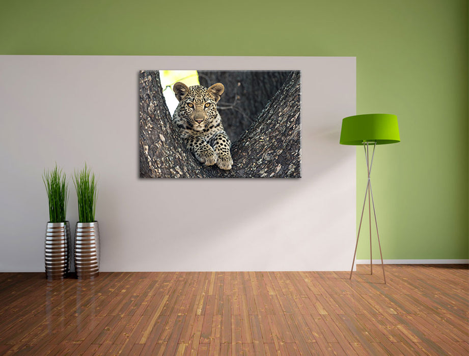Leopardenbaby Leinwandbild im Flur