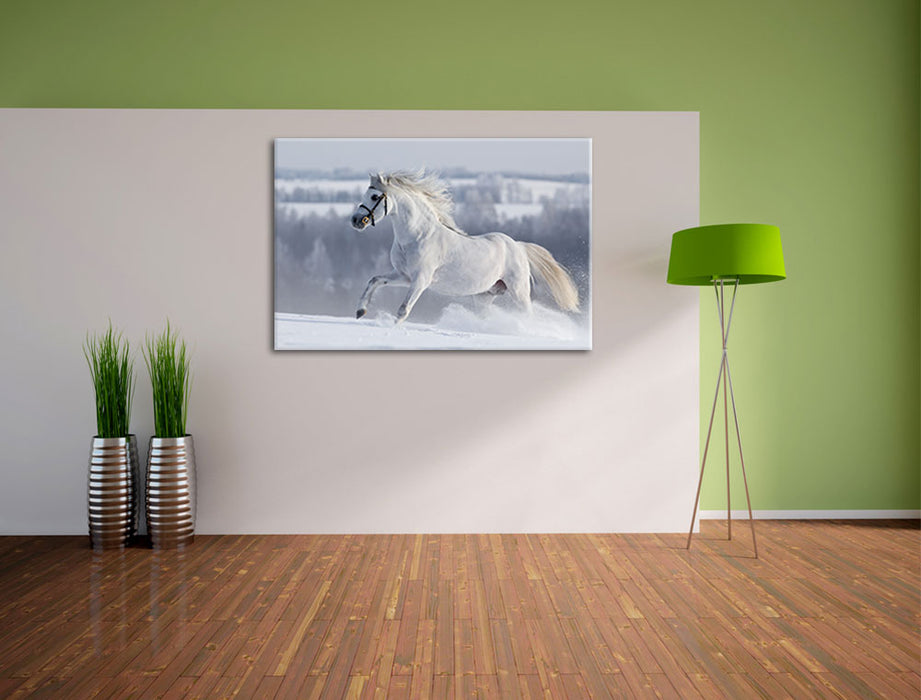 Weißes Pferd auf Schneewiese Leinwandbild im Flur