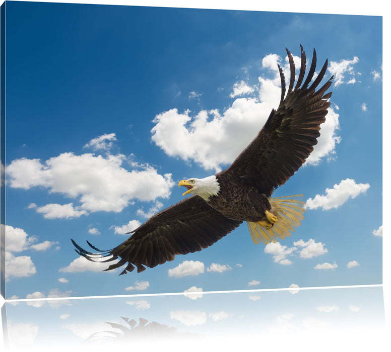 Pixxprint Adler fliegt über Berge, Leinwandbild