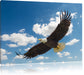 Adler fliegt über Berge Leinwandbild