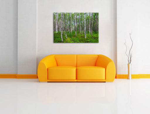 Birkenwald Leinwandbild über Sofa