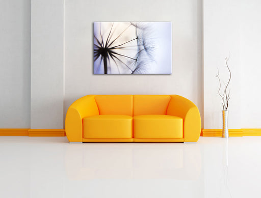 Weiße Pusteblumen Leinwandbild über Sofa