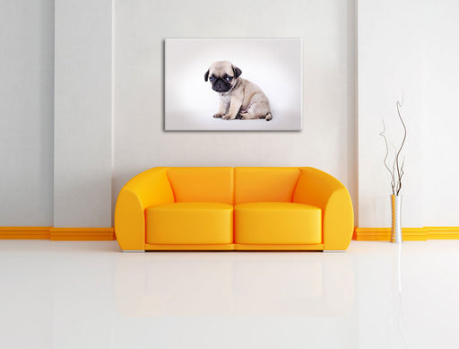 Kleiner Hundewelpe Mops Leinwandbild über Sofa