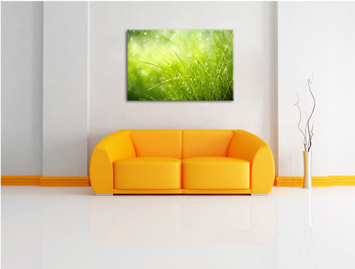 Nasses Gras Leinwandbild über Sofa