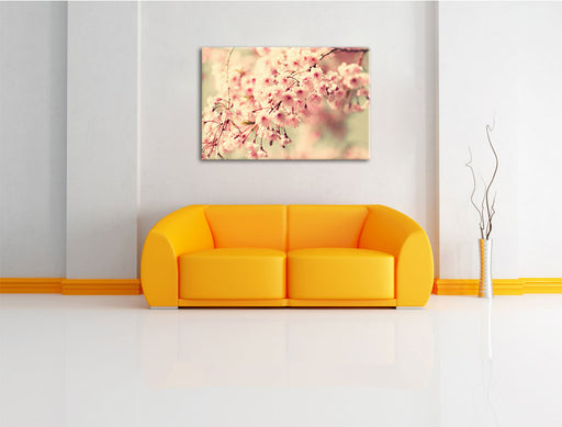 Kirschblüten Leinwandbild über Sofa