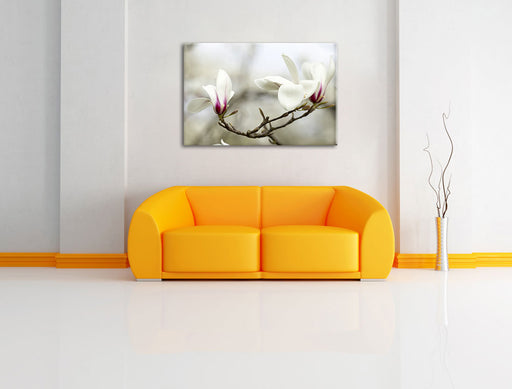 Weiße Baumblüten Leinwandbild über Sofa