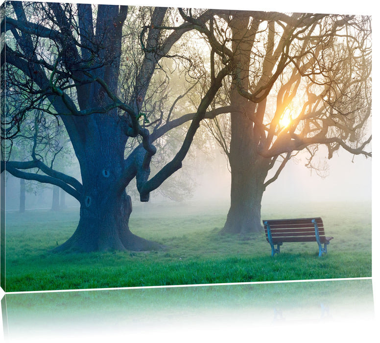 Pixxprint Baum und Bank im Nebel, Leinwandbild