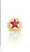 Wappen der UdSSR Leinwandbild