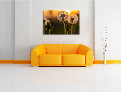 Pusteblume Leinwandbild über Sofa