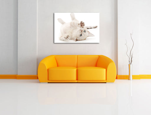 Kleine Katze Leinwandbild über Sofa