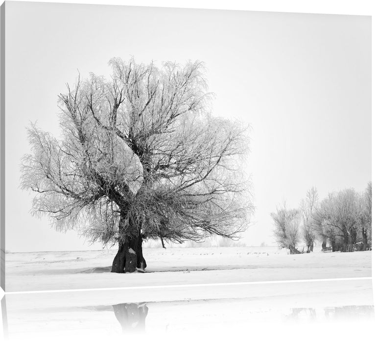 Pixxprint Bäume im Schnee Nebel, Leinwandbild